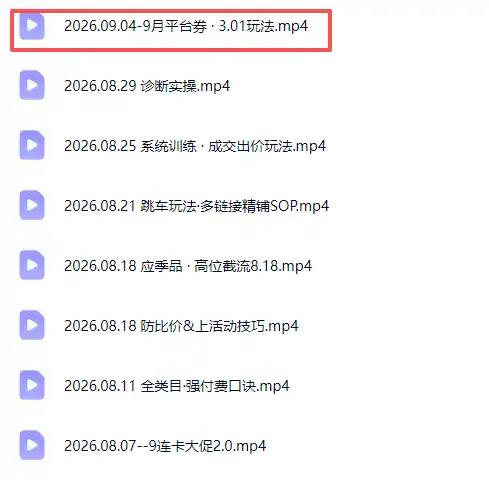拼多多实战特训营(更新26年9月-星云网创