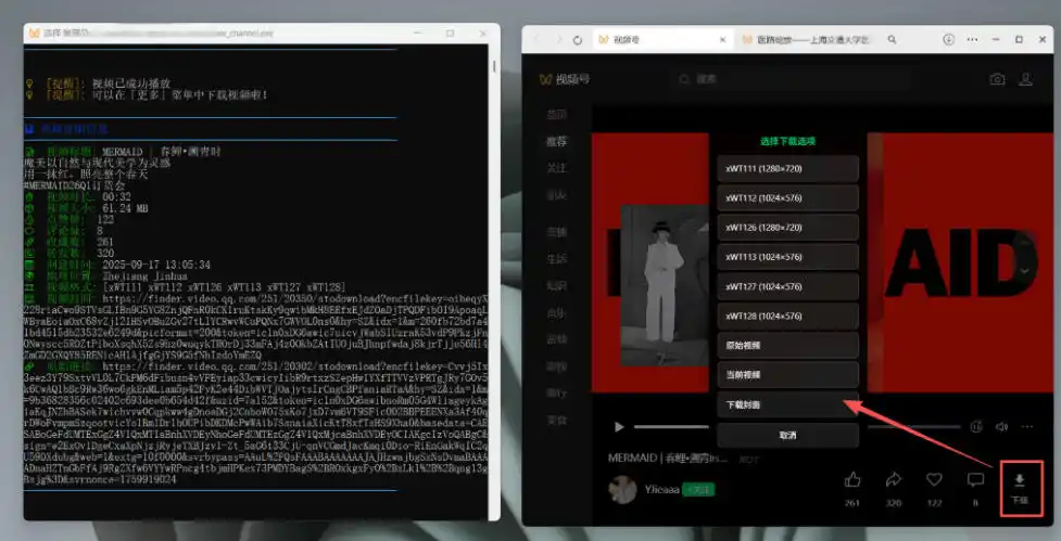 Github热门工具，视频号下载神器又来了！一键注入下载按钮，轻松下载，使用便捷wx_channel-星云网创