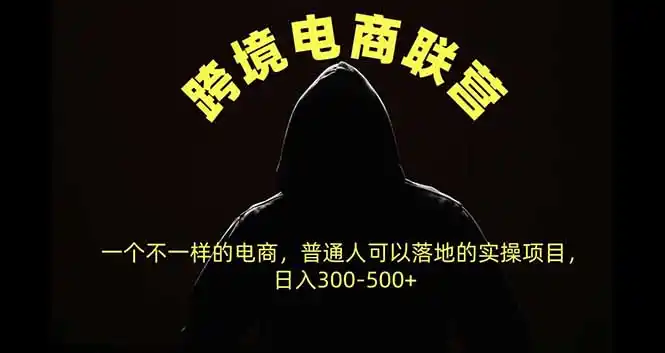跨境电商联营，一个不一样的电商，普通人可操作日入300-500+-星云网创