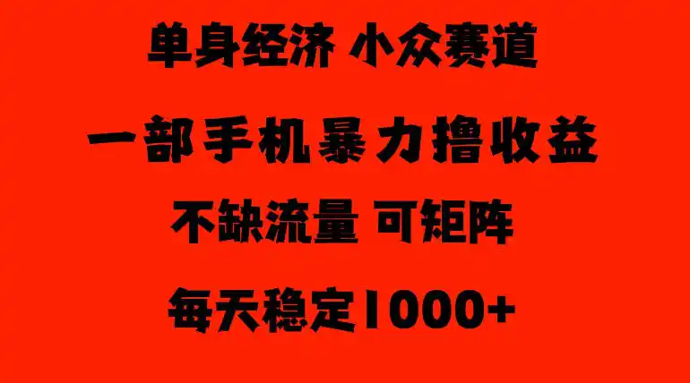 26年暴力单身经济，稳定日入500-1k，不缺流量，流量极大，冷门小众赛道，门槛低小白轻松上手【揭秘】-星云网创