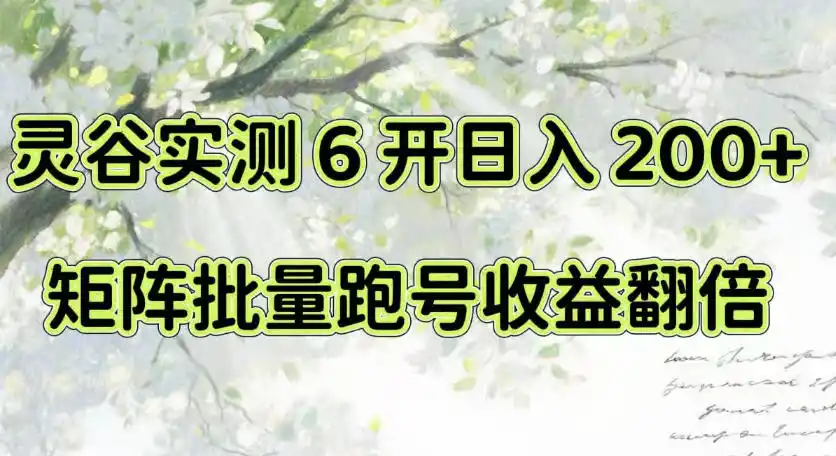 一台电脑就能做！灵谷实测6开日入200+，矩阵批量跑号收益翻倍【揭秘】-星云网创