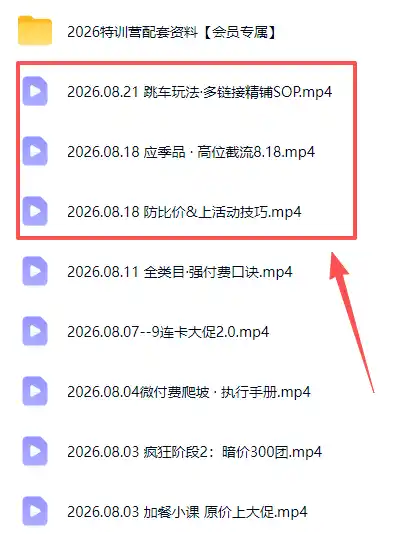 拼多多实战特训营(更新26年0822-星云网创