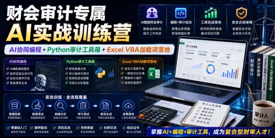 财会审计专属AI实战训练营｜AI协同编程+Python审计工具箱+Excel VBA加载项落地(更新0816)-星云网创