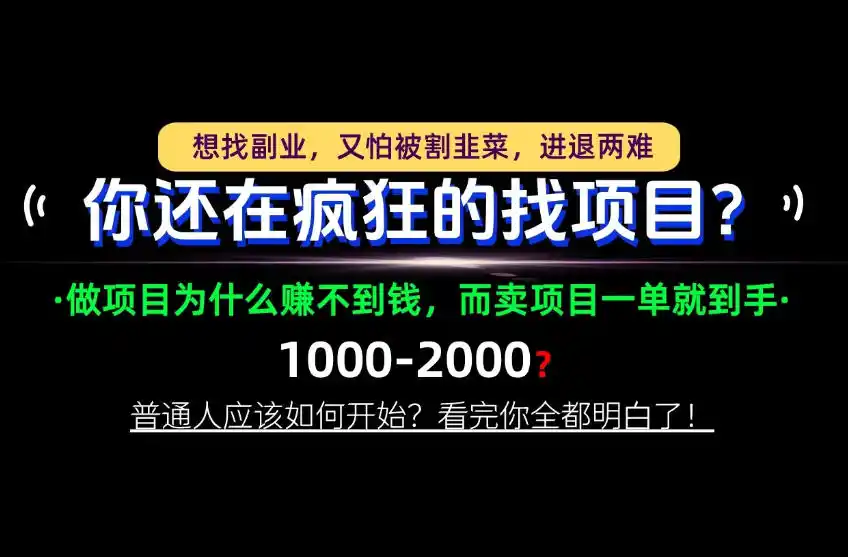 你还在疯狂的找项目？别傻了！卖项目才是真正的一本万利！怎么做，看完你全都明白！【揭秘】-星云网创