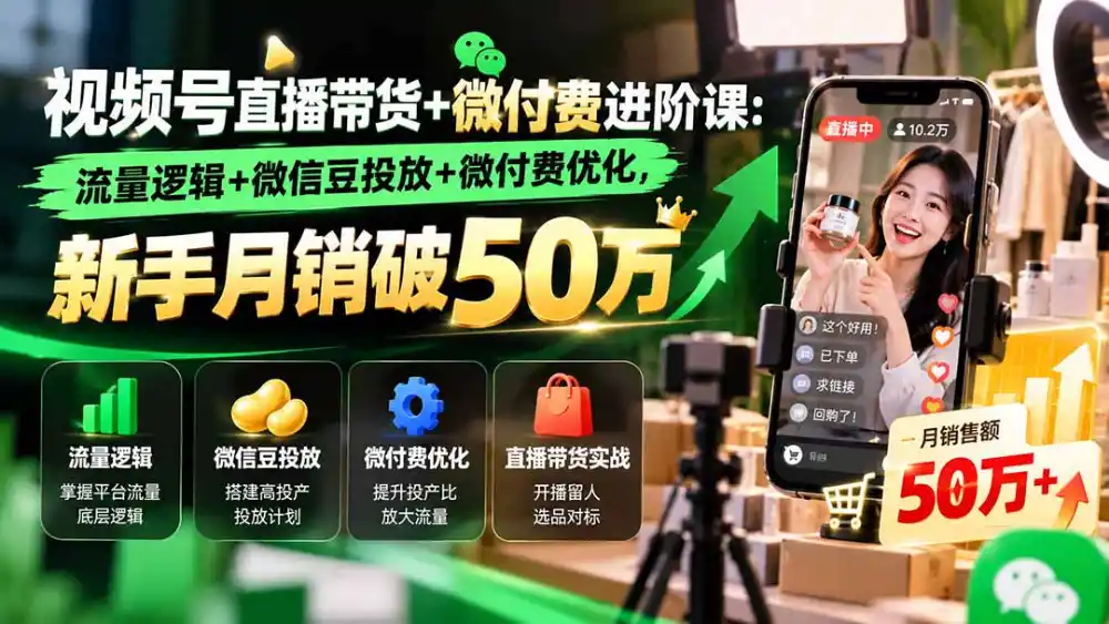 视频号直播带货+微付费进阶课-更新1010：流量逻辑+微信豆投放+微付费优化，新手月销破50万-星云网创
