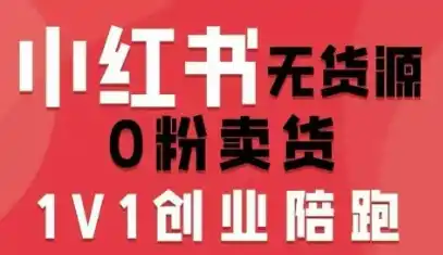 小红书无货源0粉电商课，开店准备、选品策略、笔记撰写、视频剪辑、数据分析、账号打造、资料文档(更新26年8月30日)-星云网创