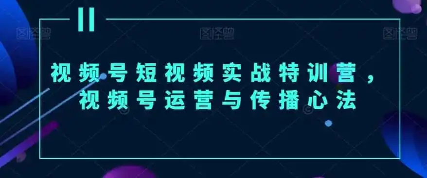 视频号短视频实战特训营，视频号运营与传播心法-星云网创