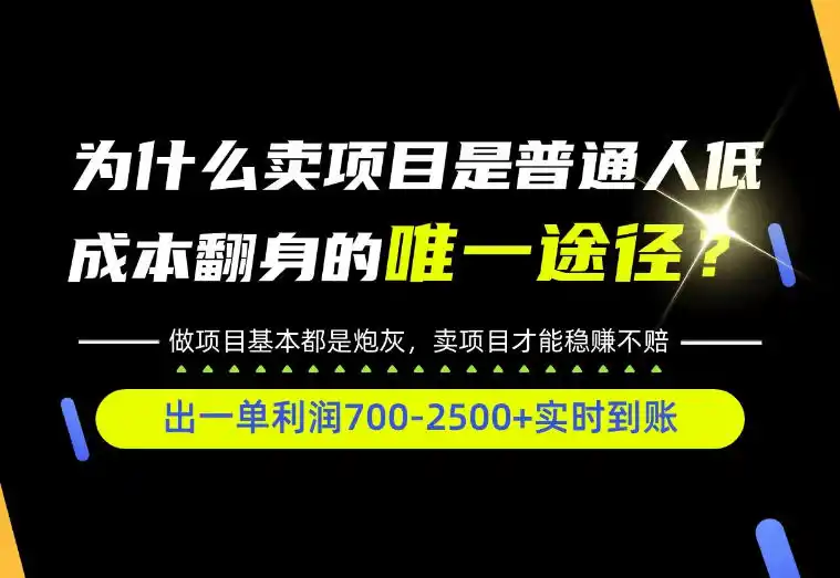 普通人如何靠互联网賺取自己的第一桶金！全类目实操型教学，看完你全都懂了！【揭秘】-星云网创
