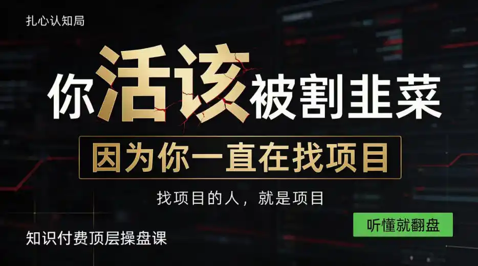 做项目不如卖项目，做知识付费自己当老板，知识付费顶层操盘课，听懂就翻盘【揭秘】-星云网创
