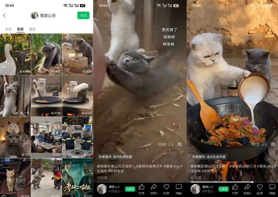 猫咪慢生活短视频教学，AI搞笑萌宠赛道，视频号分成+精选独家+伙伴计划+商单收徒等多种变现方式-星云网创