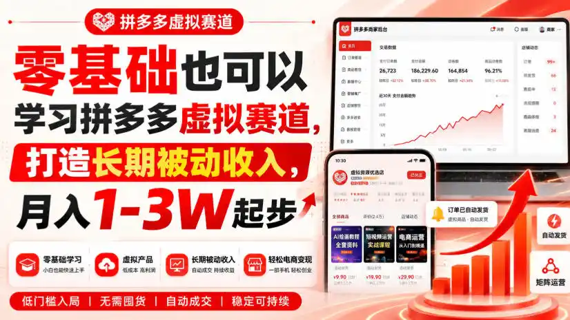 零基础也可以学习拼多多虚拟赛道，打造长期被动收入，月入1-3W起步-星云网创