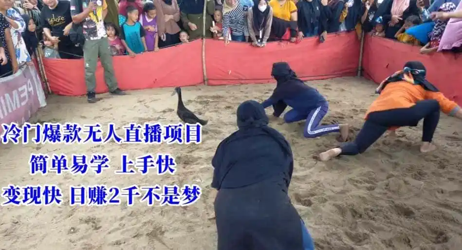 冷门爆款无人直播项目，简单易学上手快，变现快日赚2千不是梦【揭秘】-星云网创