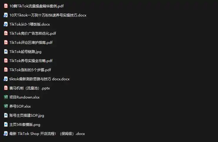 2026TikTok海外掘金实战课——养号SOP+爆款公式+选品测款+广告投流+Shop开店，跑通海外运营全链路-星云网创