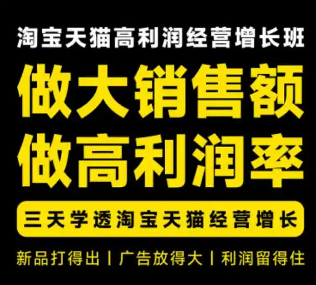 天猫淘宝高利润经营增长班杭州线下课31期8月22-24日，做大销售额做高利润率，三天学透淘宝天猫经营增长-星云网创