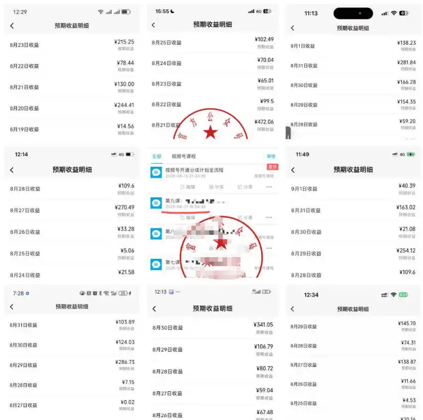 最新视频号创作者分成计划项目，十大高单价赛道，掌握AI内容制作，新手小白也能月入8k+-星云网创
