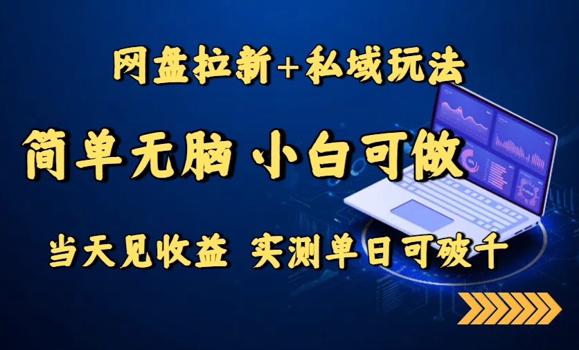 网盘拉新+私域玩法，简单无脑，小白可做，当天见收益，实测单日可破千-星云网创