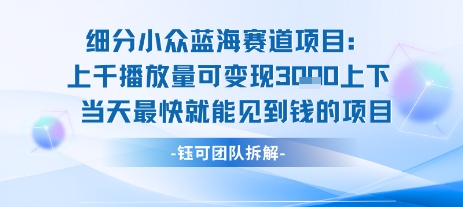 小众蓝海赛道项目：当天变现1k+适合新手操作 +适合长期玩-星云网创