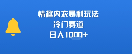 情趣内衣暴利玩法，冷门赛道，日入1k+-星云网创