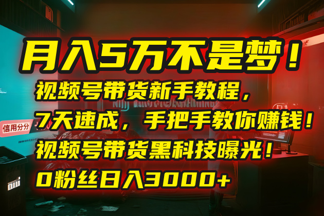 月入5万不是梦！视频号带货新手教程，7天速成，手把手教你赚钱！视频号…-星云网创