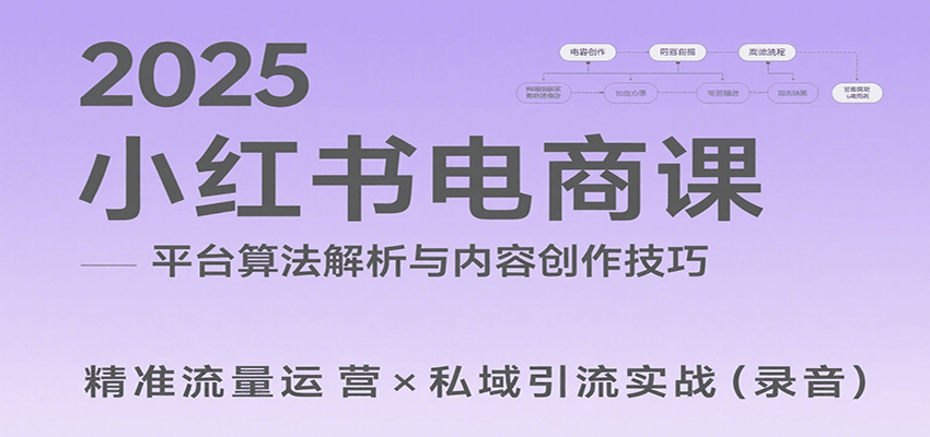 2025小红书电商课：解析算法，创作高转化内容，助力卖家获取流量实现变现(录音)-星云网创