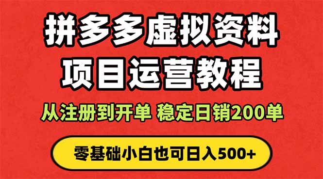 拼多多开店运营课程： 蓝海变现玩法，轻松实现睡后收入 零基础小白也可…-星云网创