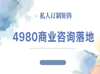 4980商业咨询师落地课程-ip运营高客单教程-柚子轻创
