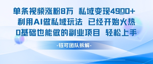 单条视频私域变现4.9k+利用AI做私域玩法 已经开始火热0基础也能做的副业项目轻松上手-星云网创