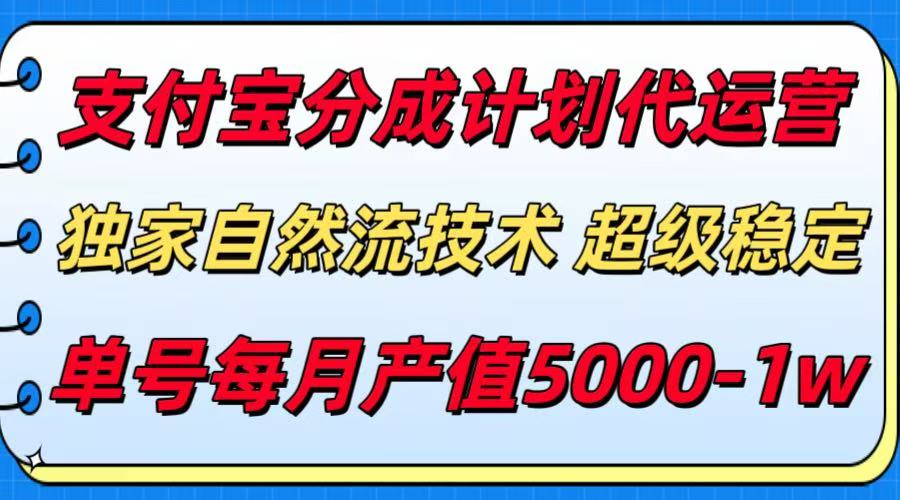支付宝分成计划代运营，独家自然流技术，收益稳定，单号月产5000＋-星云网创