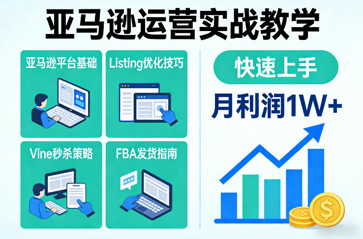 亚马逊运营实战教学，亚马逊平台+Listing优化+Vine秒杀+FBA发货等，快速上手，实现店铺月利润1W-星云网创