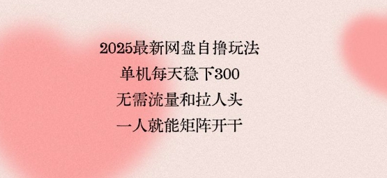 2025最新网盘自撸玩法，单机每天稳下3张，无需流量和拉人头，一个人就可轻松矩阵，全网独一份【揭秘】-星云网创