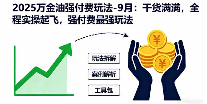 2025万金油强付费玩法-9月：干货满满，全程实操起飞，强付费最强玩法-星云网创