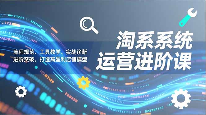 淘系系统运营进阶课2.0，流程规范、工具教学、实战诊断，进阶突破，打造高盈利店铺模型-星云网创