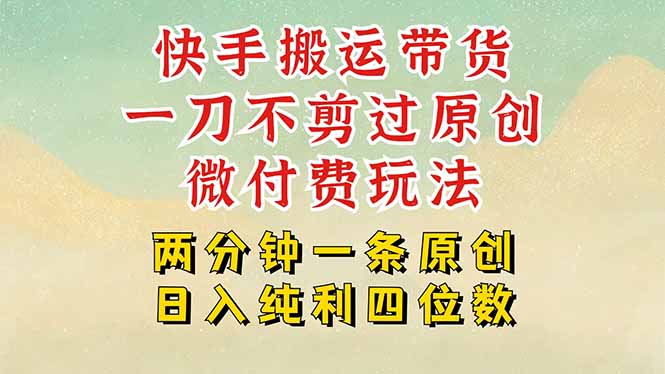 快手黑科技搬运带货，一刀不剪过原创，微付费投流玩法，轻松日入四位数…-星云网创