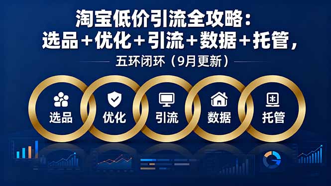 淘宝低价引流全攻略：选品＋优化＋引流＋数据＋托管，五环闭环(9月更新-星云网创