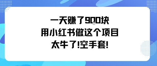 一天挣了9张用小红书做这个项目太牛了，空手套-星云网创