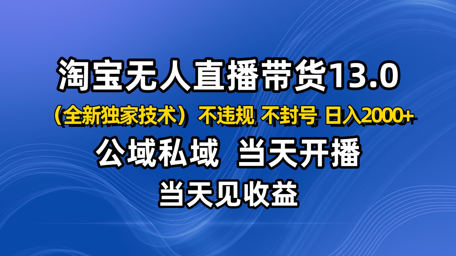 淘宝无人直播13.0，公域私域技术，不封号，不违规 布局下半年旺季赛道，日入2000+-星云网创