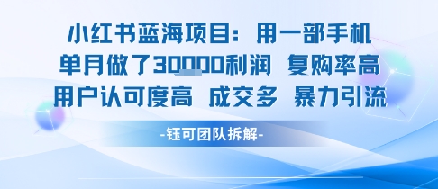 小红书蓝海项目，一部手机单月做了3W利润，小白也能月入过1W用户认可度高成交多-星云网创