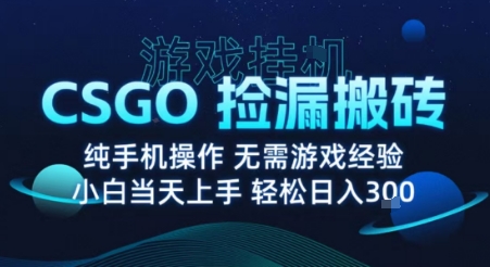 8月最新游戏搬砖，CSGO纯挂G，不需要玩游戏，实现真挂G，月入1W+【揭秘】-星云网创