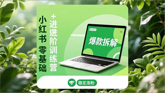 小红书零基础+高阶训练营:安全养号、爆款拆解、长效运营,实现稳定涨粉与变现-我要项目网