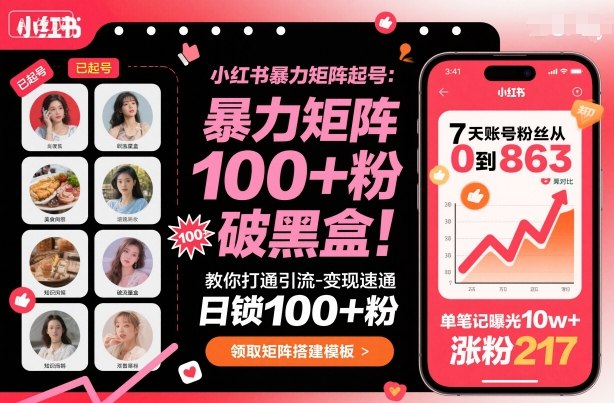 小红书暴力矩阵起号，教你打通引流-变现速通，日锁100+粉，破流量黑盒-星云网创