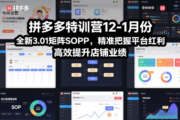 拼多多特训营12-1月份，全新3.01矩阵Sop，精准把握平台红利，高效提升店铺业绩-星云网创