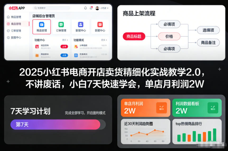 2025小红书电商开店卖货精细化实战教学2.0，不讲废话，小白7天快速学会，单店月利润2W-星云网创
