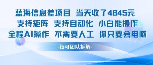 蓝海信息差项目当天收米1k+ 支持矩阵支持自动化小白能操作全程AI操作不需要人工你只要会电脑-星云网创