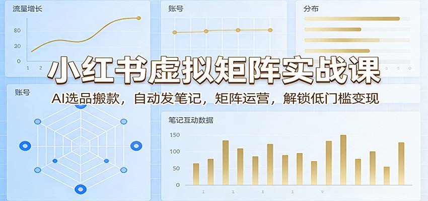 小红书虚拟矩阵实战课：AI选品搬款，自动发笔记，矩阵运营，解锁低门槛变现-星云网创