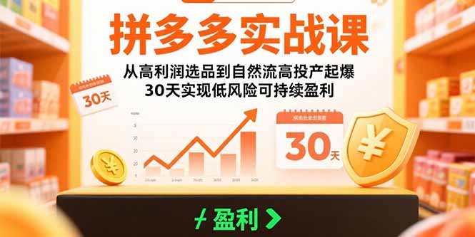 拼多多实战课：从高利润选品到自然流高投产起爆 30天实现低风险可持续盈利-星云网创