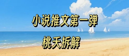 小说推文项目操作全流程第一弹,0粉就能做,门槛低非常适合新手-星云网创