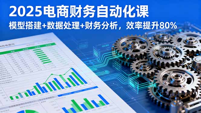 2025电商财务自动化课，模型搭建+数据处理+财务分析，效率提升80%-云网创