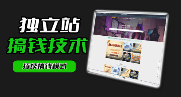 干货来袭！麦子甜带你吃透独立站｜从搭建到引流一站式教学《独立站》第一期-星云网创