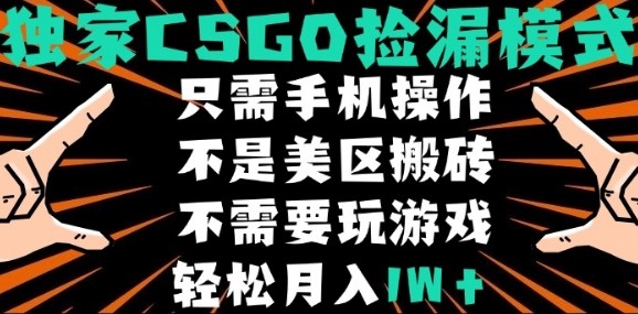 CSGO自动捡漏项目，最新独家玩法，不是美区搬砖，不需要了解和玩游戏，新手小白轻松月入1W+【揭秘】-星云网创