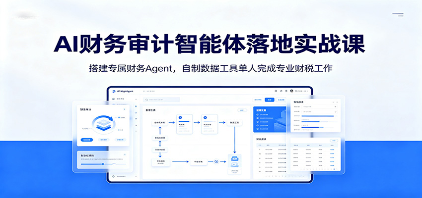 AI财务审计智能体落地实战课：搭建专属财务Agent，自制数据工具单人完成专业财税工作-星云网创
